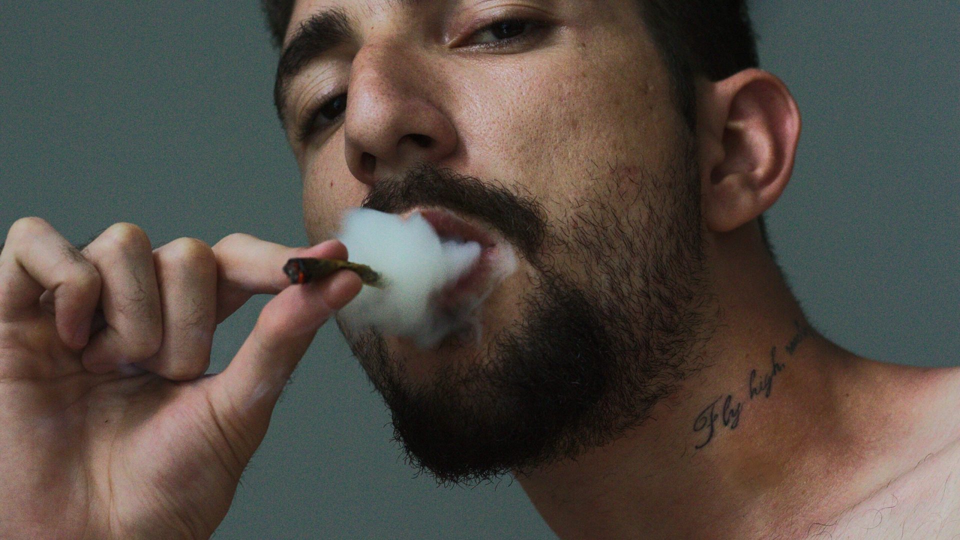 pexels-maurxeugenio-1998456